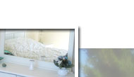 Villa Carpe Diem ...::: START :::...