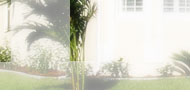 Villa Carpe Diem ...::: START :::...